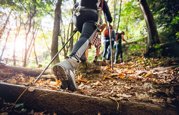 Hiking Trail